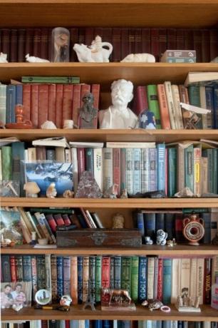Avec de nombreuses statues Bookshelves.