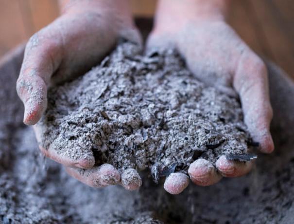 Engrais pour les semis - quoi choisir et comment nourrir les plantes