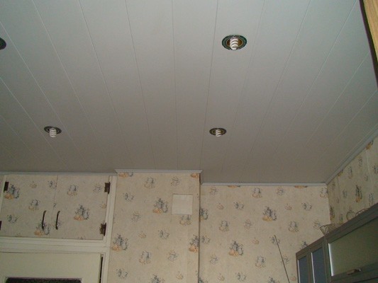 Décoration de plafond avec panneaux en plastique: élégant, moderne, durable.