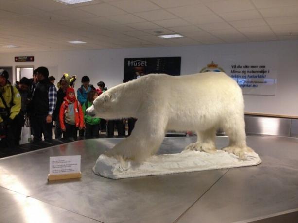 L'aéroport répond à tous le symbole voyage de la ville - l'ours polaire.