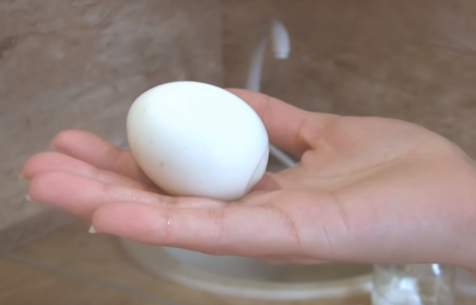 Tout le monde veut manger un œuf Gorny parfait! / Photos Source: youtube.com/channel/UCagplR5T275T6em4AQOYNbQ