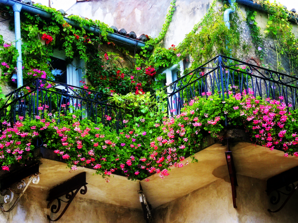 Des variantes intéressantes de l'épanouissement de l'organisation des parterres de fleurs sur le balcon (pour ceux qui aime vraiment des fleurs)
