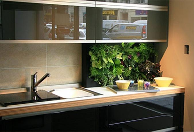 Les verts dans la cuisine - de nouvelles idées pour utiliser des plantes d'intérieur