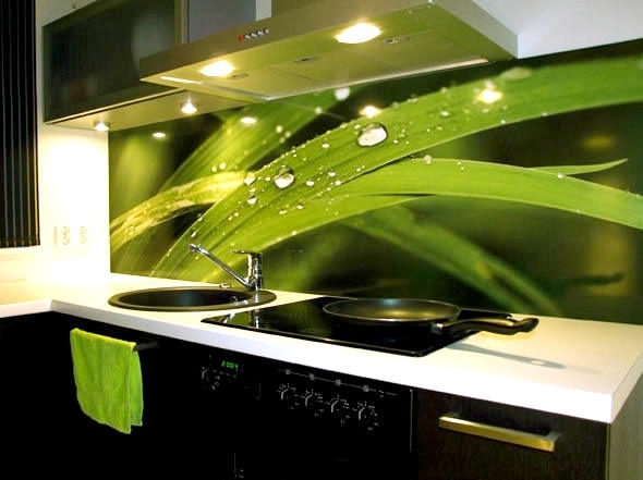 Murs verts de la cuisine en verre (écorchés) - rapidement et brillamment