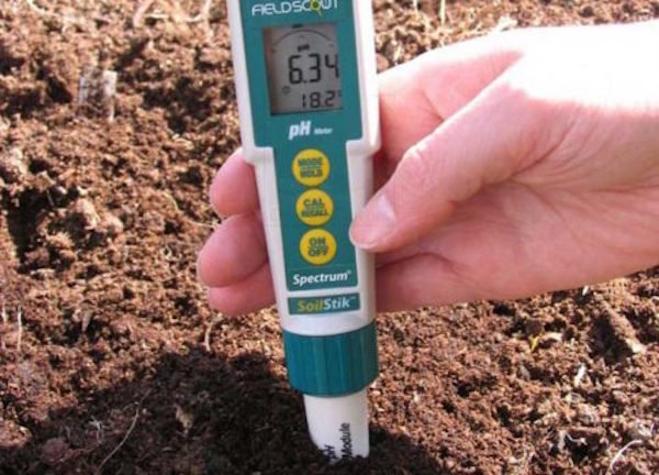 Comment savoir l'acidité du sol à la maison
