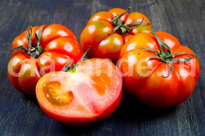 Pour les tomates rapidement rougi