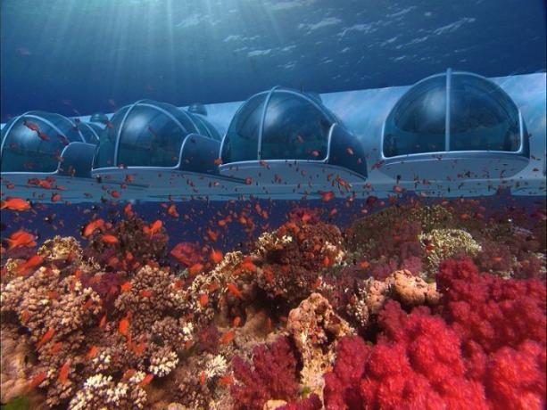 hôtel sous-marin dans l'archipel des Fidji. | Photo: s-media-cache-ak0.pinimg.com.