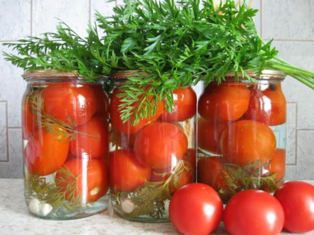 tomates en conserve avec les fanes de carottes ont une saveur inhabituelle. Illustration pour un article est utilisé pour une licence standard © ofazende.ru