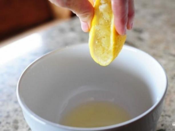 Lemon aidera à se débarrasser de l'odeur dans le congélateur. Publicité. 