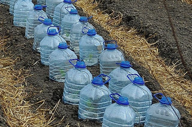 Photos de bouteilles de 5 litres utiles dans le jardin
