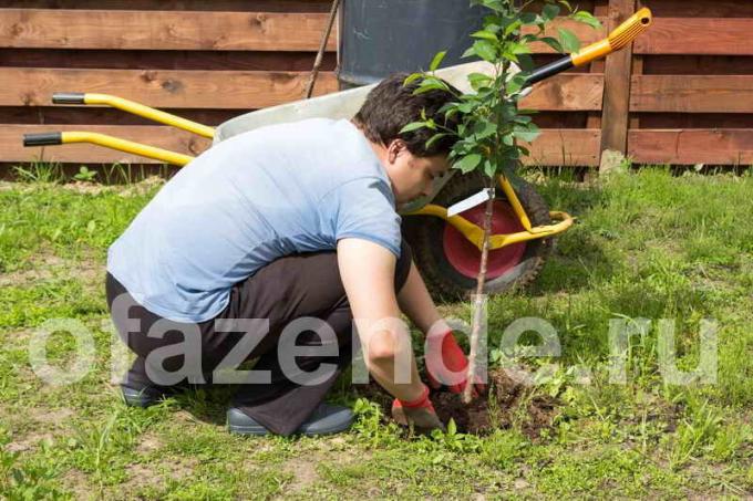 La vaccination en temps opportun - une grande moisson