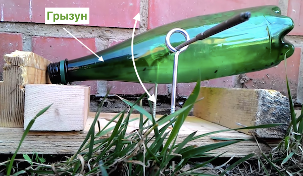 Se débarrasser des souris en utilisant un piège fait maison à partir de la bouteille en plastique