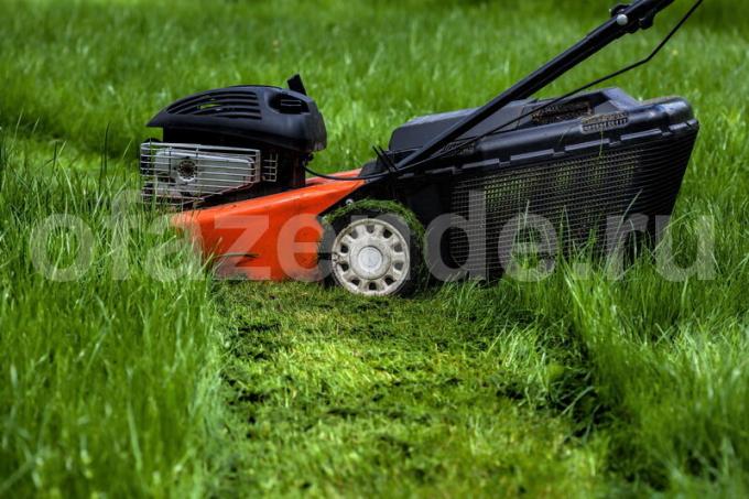 Comment transformer l'herbe coupée en compost ou paillis