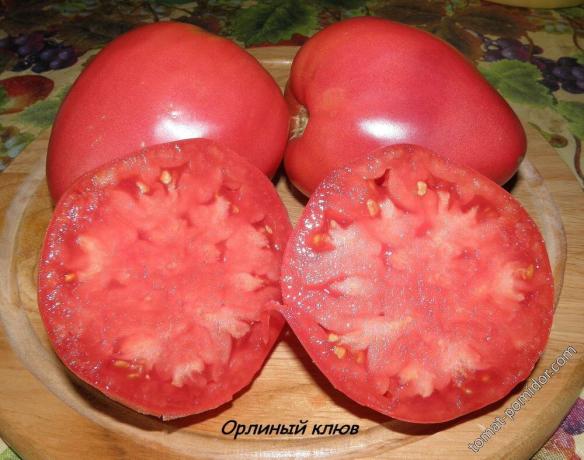 Photo de tomate tomate
