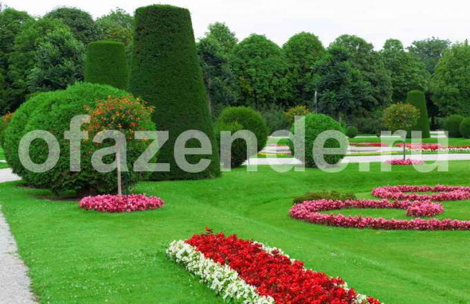 Jardin avec des éléments répétitifs. Illustration pour un article est utilisé pour une licence standard © ofazende.ru