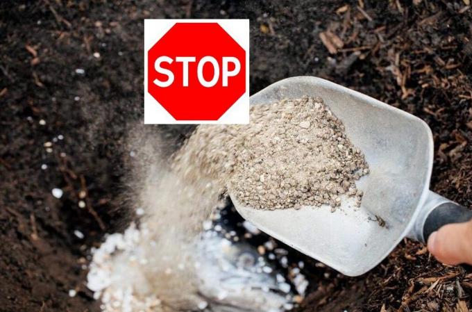 Pourquoi je refuse d'utiliser superphosphate dans votre jardin et comment il peut être dangereux