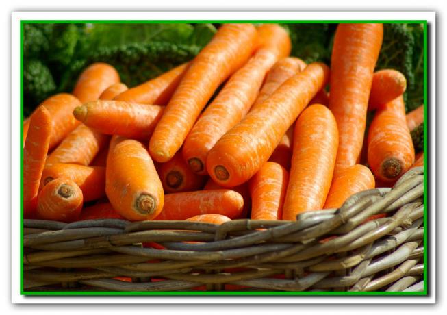 Vos carottes augmenteront 4-5 jours