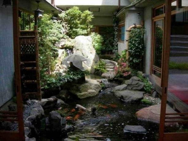 Un jardin d'eau dans la cour: Conseils jardiniers