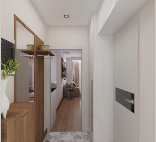 Hall d'entrée dans un petit appartement d'une superficie de moins de trente mètres carrés.