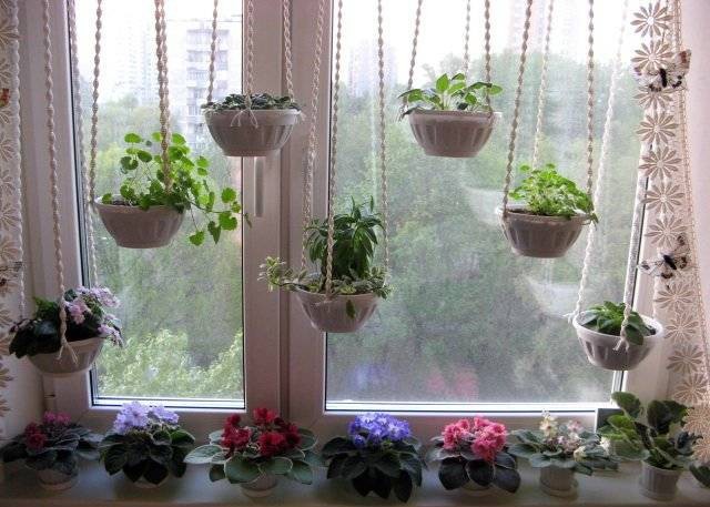 Décoration de fenêtre originale avec des plantes