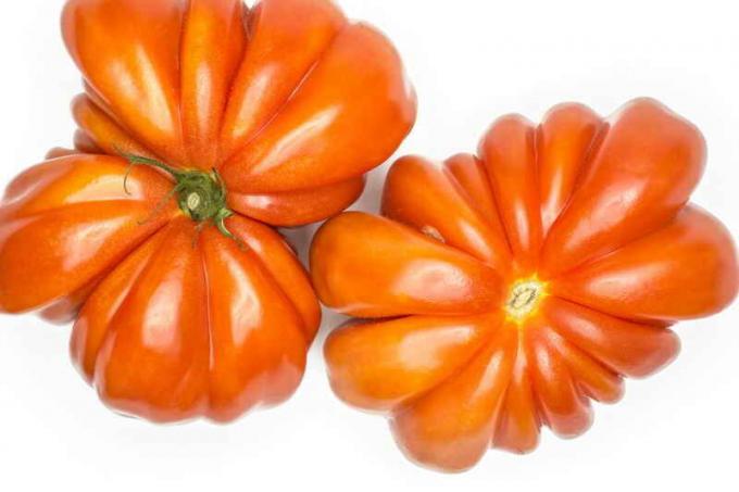 Les secrets de la culture des tomates « coeur de boeuf »