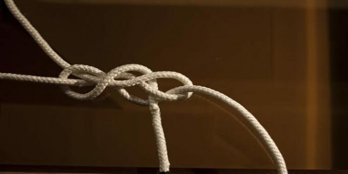 Pour les deux câbles. | Photo: biomolecula.ru.