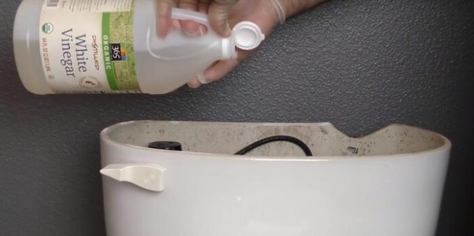 Remplissez le vinaigre dans les toilettes pour tuer toutes les bactéries. 