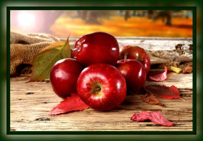 Comment garder les pommes fraîches pour l'hiver à la maison