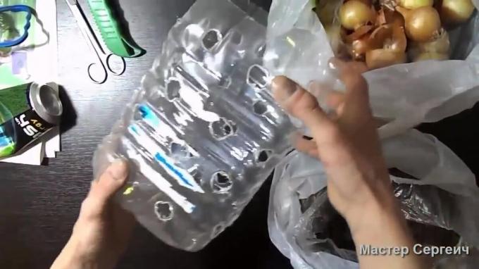 Comment faire pousser les oignons sur le rebord de la fenêtre dans une bouteille en plastique