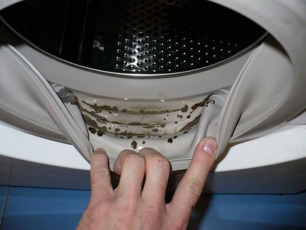 Comment se débarrasser de la moisissure et odeur de moisi dans la machine à laver