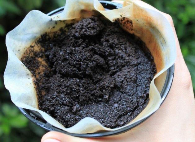 Pourquoi je vous conseille vivement de ne pas fertiliser le jardin et le verger vieux sachets de thé et marc de café