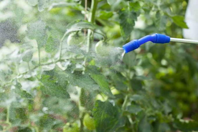 L'utilisation de sulfate de cuivre dans le jardin