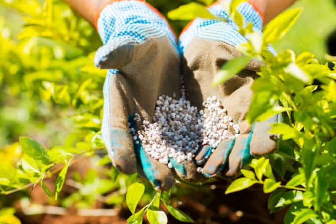 Été alimentation pour votre jardin: options et technologies