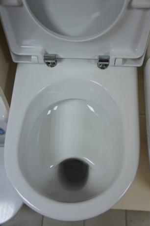Toilette avec un « plateau » ou « plaque ».