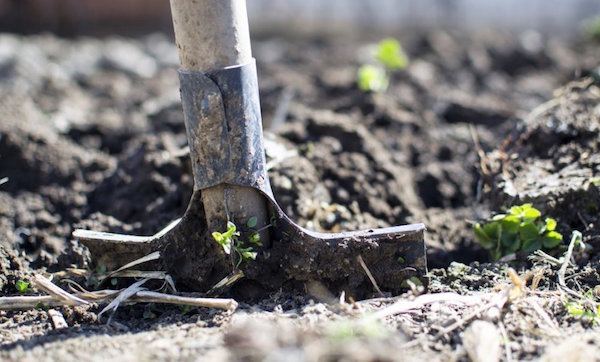 Pourquoi ne pas creuser un jardin potager à l'automne: 5 raisons