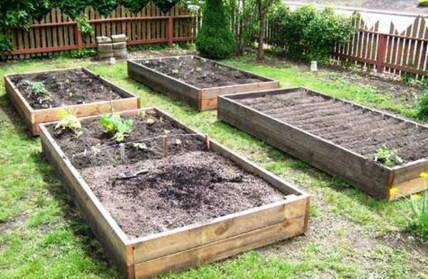 Comment améliorer le sol argileux dans le jardin sans grands investissements financiers. mon expérience